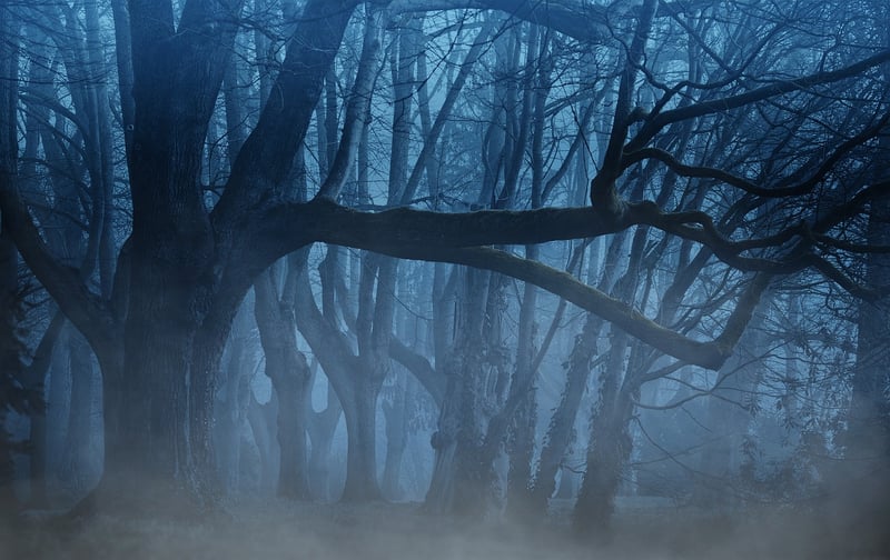 Enchanted Evening